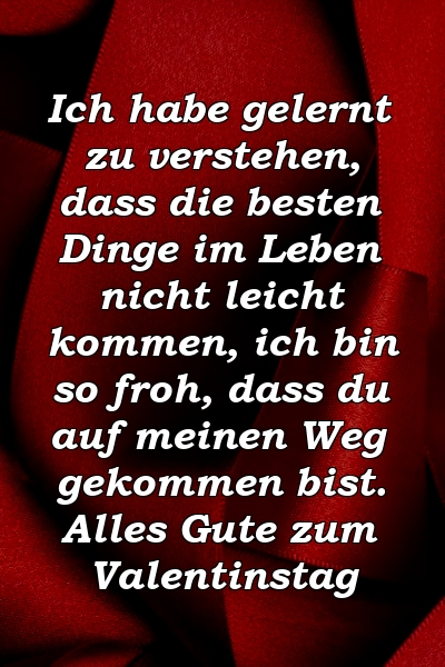 Ich habe gelernt zu verstehen, dass die besten Dinge im Leben nicht leicht kommen, ich bin so froh, dass du auf meinen Weg gekommen bist. Alles Gute zum Valentinstag