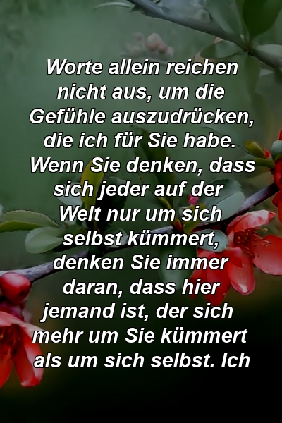 Worte allein reichen nicht aus, um die Gefühle auszudrücken, die ich für Sie habe. Wenn Sie denken, dass sich jeder auf der Welt nur um sich selbst kümmert, denken Sie immer daran, dass hier jemand ist, der sich mehr um Sie kümmert als um sich selbst. Ich