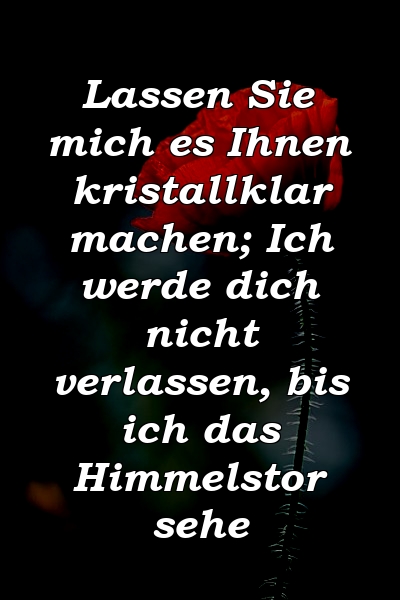 Lassen Sie mich es Ihnen kristallklar machen; Ich werde dich nicht verlassen, bis ich das Himmelstor sehe