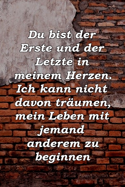 Du bist der Erste und der Letzte in meinem Herzen. Ich kann nicht davon träumen, mein Leben mit jemand anderem zu beginnen