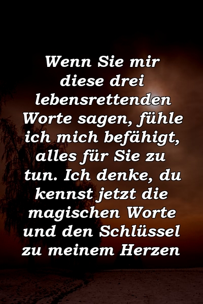 Wenn Sie mir diese drei lebensrettenden Worte sagen, fühle ich mich befähigt, alles für Sie zu tun. Ich denke, du kennst jetzt die magischen Worte und den Schlüssel zu meinem Herzen