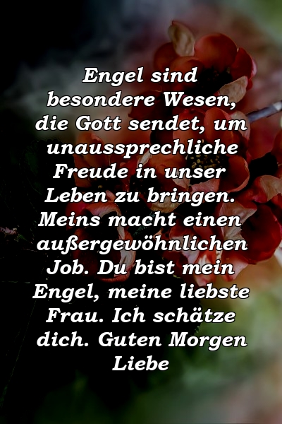 Engel sind besondere Wesen, die Gott sendet, um unaussprechliche Freude in unser Leben zu bringen. Meins macht einen außergewöhnlichen Job. Du bist mein Engel, meine liebste Frau. Ich schätze dich. Guten Morgen Liebe