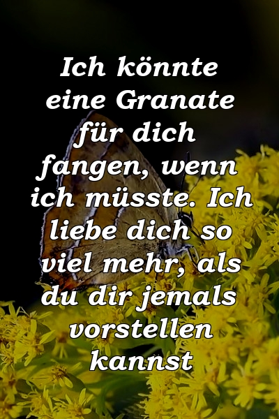 Ich könnte eine Granate für dich fangen, wenn ich müsste. Ich liebe dich so viel mehr, als du dir jemals vorstellen kannst