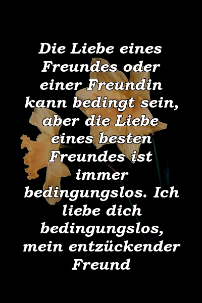 Die Liebe eines Freundes oder einer Freundin kann bedingt sein, aber die Liebe eines besten Freundes ist immer bedingungslos. Ich liebe dich bedingungslos, mein entzückender Freund