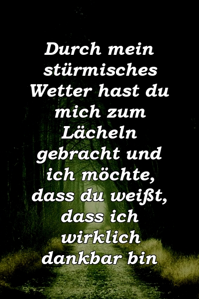 Durch mein stürmisches Wetter hast du mich zum Lächeln gebracht und ich möchte, dass du weißt, dass ich wirklich dankbar bin