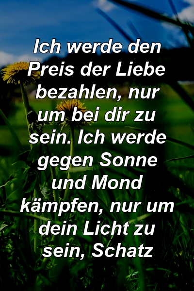 Ich werde den Preis der Liebe bezahlen, nur um bei dir zu sein. Ich werde gegen Sonne und Mond kämpfen, nur um dein Licht zu sein, Schatz