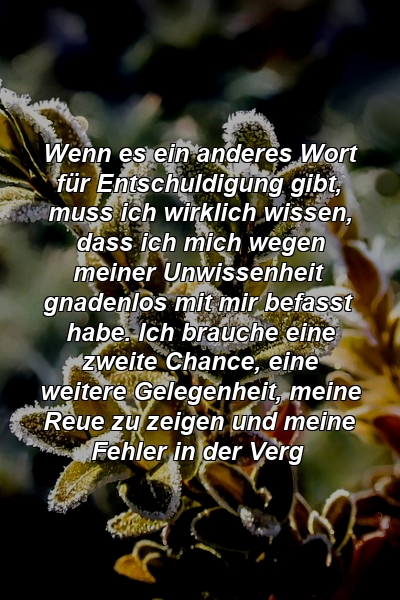 Wenn es ein anderes Wort für Entschuldigung gibt, muss ich wirklich wissen, dass ich mich wegen meiner Unwissenheit gnadenlos mit mir befasst habe. Ich brauche eine zweite Chance, eine weitere Gelegenheit, meine Reue zu zeigen und meine Fehler in der Verg