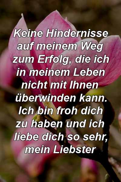 Keine Hindernisse auf meinem Weg zum Erfolg, die ich in meinem Leben nicht mit Ihnen überwinden kann. Ich bin froh dich zu haben und ich liebe dich so sehr, mein Liebster