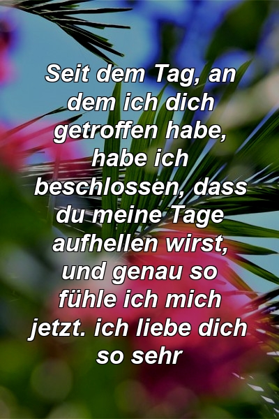 Seit dem Tag, an dem ich dich getroffen habe, habe ich beschlossen, dass du meine Tage aufhellen wirst, und genau so fühle ich mich jetzt. ich liebe dich so sehr