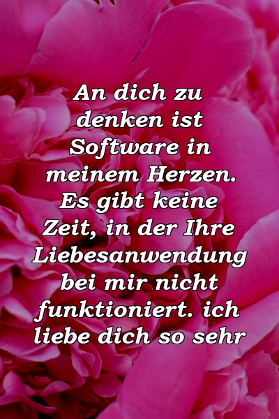 An dich zu denken ist Software in meinem Herzen. Es gibt keine Zeit, in der Ihre Liebesanwendung bei mir nicht funktioniert. ich liebe dich so sehr