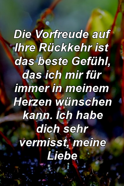 Die Vorfreude auf Ihre Rückkehr ist das beste Gefühl, das ich mir für immer in meinem Herzen wünschen kann. Ich habe dich sehr vermisst, meine Liebe