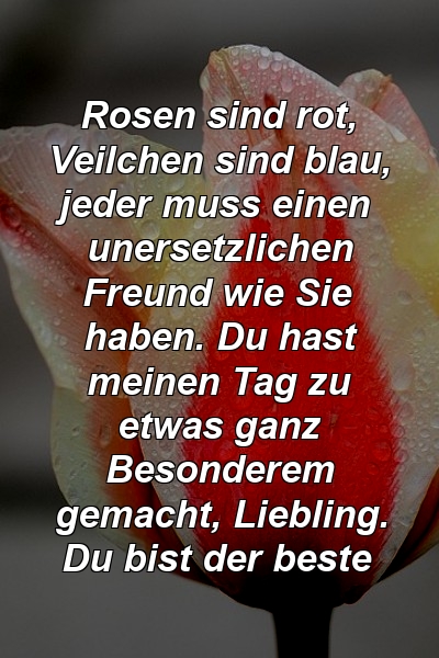 Rosen sind rot, Veilchen sind blau, jeder muss einen unersetzlichen Freund wie Sie haben. Du hast meinen Tag zu etwas ganz Besonderem gemacht, Liebling. Du bist der beste