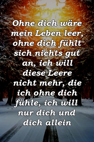 Ohne dich wäre mein Leben leer, ohne dich fühlt sich nichts gut an, ich will diese Leere nicht mehr, die ich ohne dich fühle, ich will nur dich und dich allein