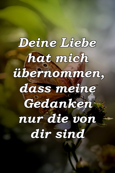 Deine Liebe hat mich übernommen, dass meine Gedanken nur die von dir sind