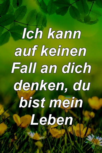 Ich kann auf keinen Fall an dich denken, du bist mein Leben