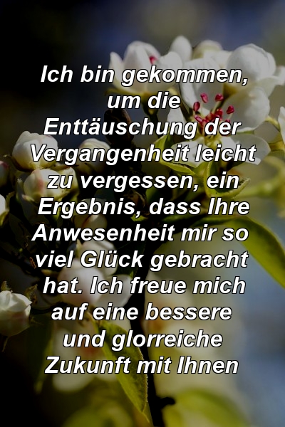 Ich bin gekommen, um die Enttäuschung der Vergangenheit leicht zu vergessen, ein Ergebnis, dass Ihre Anwesenheit mir so viel Glück gebracht hat. Ich freue mich auf eine bessere und glorreiche Zukunft mit Ihnen