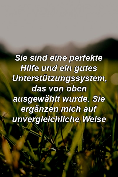 Sie sind eine perfekte Hilfe und ein gutes Unterstützungssystem, das von oben ausgewählt wurde. Sie ergänzen mich auf unvergleichliche Weise