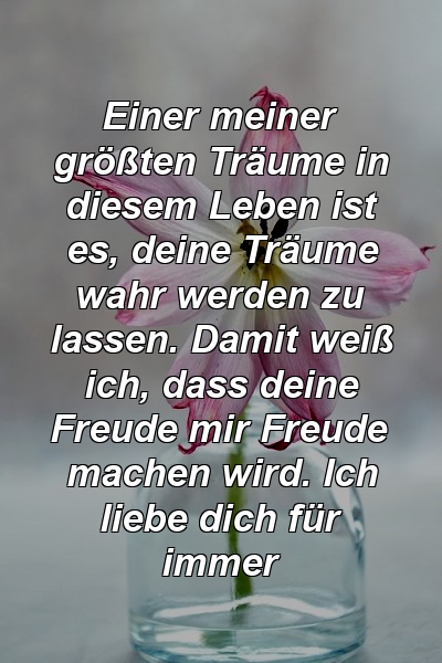 Einer meiner größten Träume in diesem Leben ist es, deine Träume wahr werden zu lassen. Damit weiß ich, dass deine Freude mir Freude machen wird. Ich liebe dich für immer