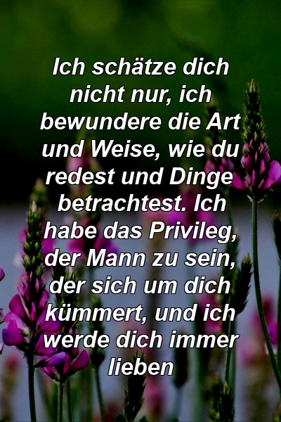 Ich schätze dich nicht nur, ich bewundere die Art und Weise, wie du redest und Dinge betrachtest. Ich habe das Privileg, der Mann zu sein, der sich um dich kümmert, und ich werde dich immer lieben