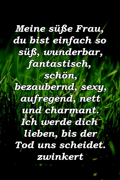 Meine süße Frau, du bist einfach so süß, wunderbar, fantastisch, schön, bezaubernd, sexy, aufregend, nett und charmant. Ich werde dich lieben, bis der Tod uns scheidet. zwinkert