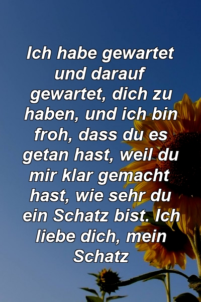 Ich habe gewartet und darauf gewartet, dich zu haben, und ich bin froh, dass du es getan hast, weil du mir klar gemacht hast, wie sehr du ein Schatz bist. Ich liebe dich, mein Schatz