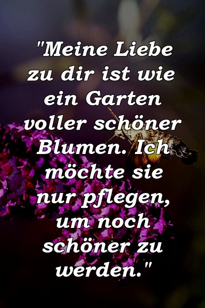 "Meine Liebe zu dir ist wie ein Garten voller schöner Blumen. Ich möchte sie nur pflegen, um noch schöner zu werden."