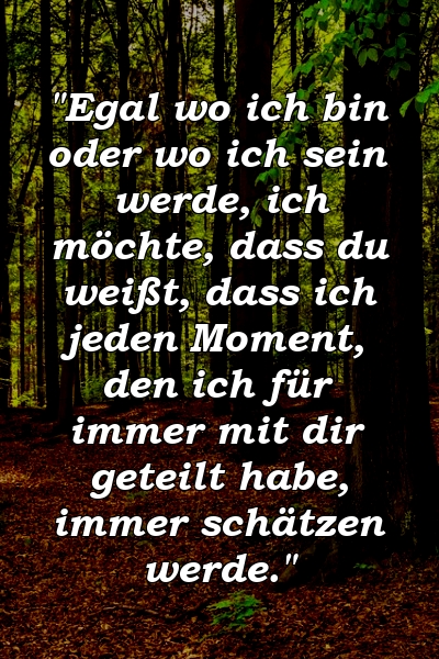 "Egal wo ich bin oder wo ich sein werde, ich möchte, dass du weißt, dass ich jeden Moment, den ich für immer mit dir geteilt habe, immer schätzen werde."