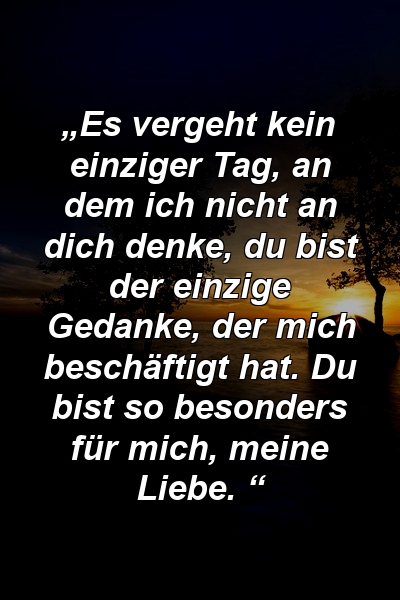 „Es vergeht kein einziger Tag, an dem ich nicht an dich denke, du bist der einzige Gedanke, der mich beschäftigt hat. Du bist so besonders für mich, meine Liebe. “