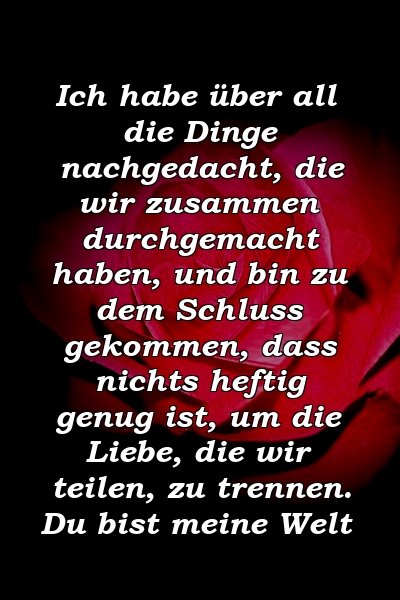 Ich habe über all die Dinge nachgedacht, die wir zusammen durchgemacht haben, und bin zu dem Schluss gekommen, dass nichts heftig genug ist, um die Liebe, die wir teilen, zu trennen. Du bist meine Welt