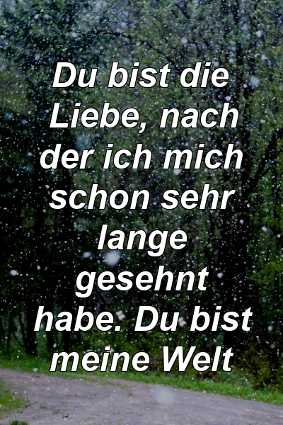 Du bist die Liebe, nach der ich mich schon sehr lange gesehnt habe. Du bist meine Welt