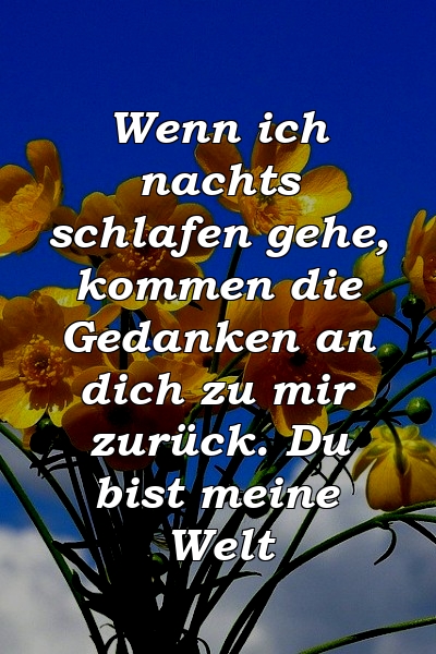 Wenn ich nachts schlafen gehe, kommen die Gedanken an dich zu mir zurück. Du bist meine Welt