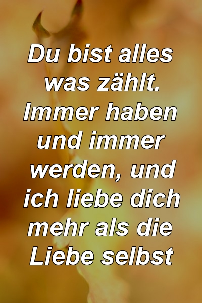 Du bist alles was zählt. Immer haben und immer werden, und ich liebe dich mehr als die Liebe selbst