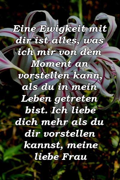 Eine Ewigkeit mit dir ist alles, was ich mir von dem Moment an vorstellen kann, als du in mein Leben getreten bist. Ich liebe dich mehr als du dir vorstellen kannst, meine liebe Frau