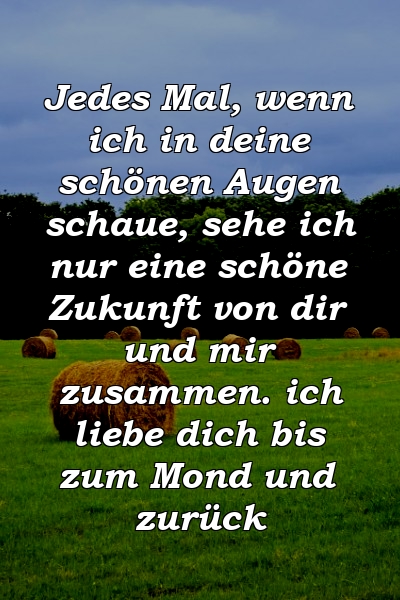 Jedes Mal, wenn ich in deine schönen Augen schaue, sehe ich nur eine schöne Zukunft von dir und mir zusammen. ich liebe dich bis zum Mond und zurück