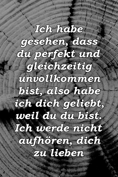 Ich habe gesehen, dass du perfekt und gleichzeitig unvollkommen bist, also habe ich dich geliebt, weil du du bist. Ich werde nicht aufhören, dich zu lieben