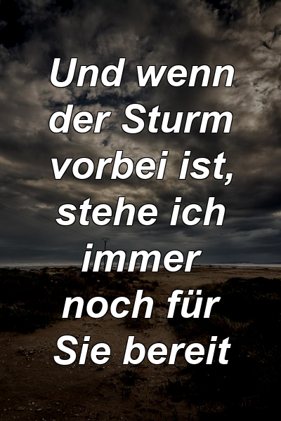 Und wenn der Sturm vorbei ist, stehe ich immer noch für Sie bereit