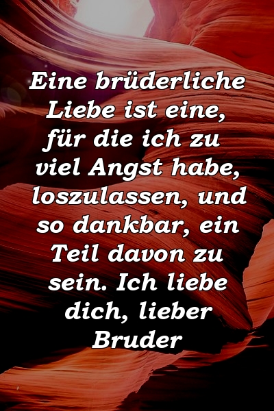 Eine brüderliche Liebe ist eine, für die ich zu viel Angst habe, loszulassen, und so dankbar, ein Teil davon zu sein. Ich liebe dich, lieber Bruder