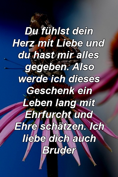 Du fühlst dein Herz mit Liebe und du hast mir alles gegeben. Also werde ich dieses Geschenk ein Leben lang mit Ehrfurcht und Ehre schätzen. Ich liebe dich auch Bruder