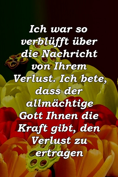 Ich war so verblüfft über die Nachricht von Ihrem Verlust. Ich bete, dass der allmächtige Gott Ihnen die Kraft gibt, den Verlust zu ertragen