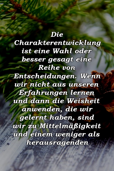 Die Charakterentwicklung ist eine Wahl oder besser gesagt eine Reihe von Entscheidungen. Wenn wir nicht aus unseren Erfahrungen lernen und dann die Weisheit anwenden, die wir gelernt haben, sind wir zu Mittelmäßigkeit und einem weniger als herausragenden 