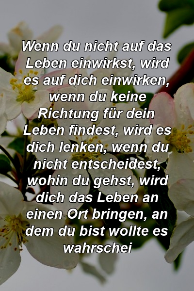 Wenn du nicht auf das Leben einwirkst, wird es auf dich einwirken, wenn du keine Richtung für dein Leben findest, wird es dich lenken, wenn du nicht entscheidest, wohin du gehst, wird dich das Leben an einen Ort bringen, an dem du bist wollte es wahrschei