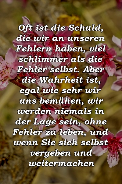 Oft ist die Schuld, die wir an unseren Fehlern haben, viel schlimmer als die Fehler selbst. Aber die Wahrheit ist, egal wie sehr wir uns bemühen, wir werden niemals in der Lage sein, ohne Fehler zu leben, und wenn Sie sich selbst vergeben und weitermachen