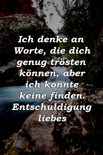 Ich denke an Worte, die dich genug trösten können, aber ich konnte keine finden. Entschuldigung liebes