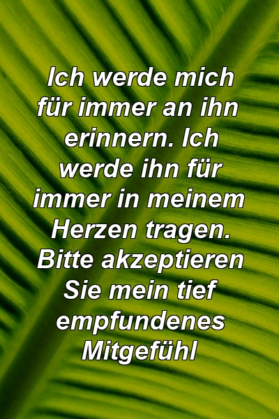 Ich werde mich für immer an ihn erinnern. Ich werde ihn für immer in meinem Herzen tragen. Bitte akzeptieren Sie mein tief empfundenes Mitgefühl