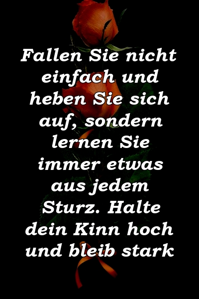 Fallen Sie nicht einfach und heben Sie sich auf, sondern lernen Sie immer etwas aus jedem Sturz. Halte dein Kinn hoch und bleib stark