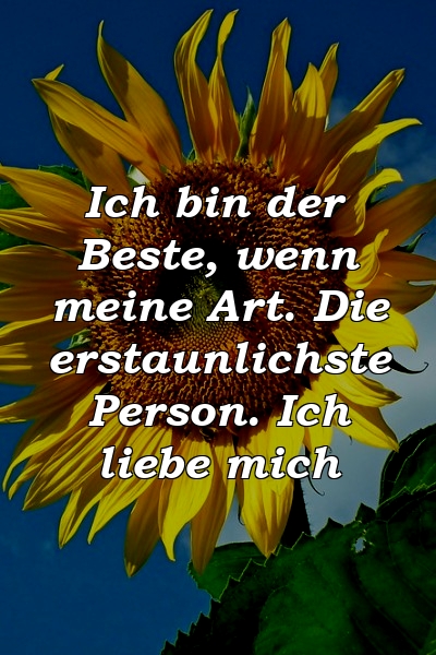 Ich bin der Beste, wenn meine Art. Die erstaunlichste Person. Ich liebe mich