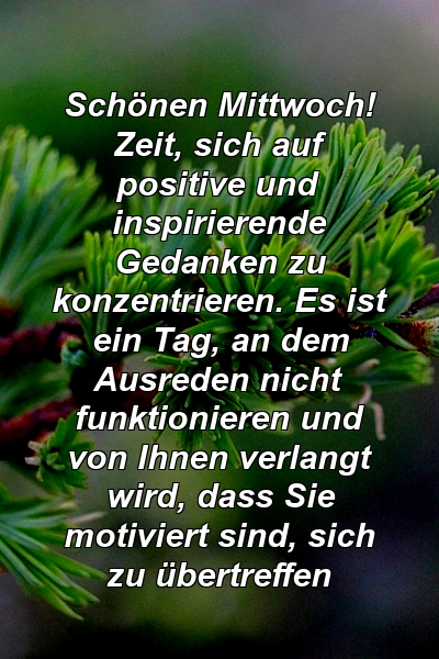 Schönen Mittwoch! Zeit, sich auf positive und inspirierende Gedanken zu konzentrieren. Es ist ein Tag, an dem Ausreden nicht funktionieren und von Ihnen verlangt wird, dass Sie motiviert sind, sich zu übertreffen