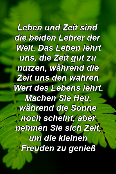 Leben und Zeit sind die beiden Lehrer der Welt. Das Leben lehrt uns, die Zeit gut zu nutzen, während die Zeit uns den wahren Wert des Lebens lehrt. Machen Sie Heu, während die Sonne noch scheint, aber nehmen Sie sich Zeit, um die kleinen Freuden zu genieß