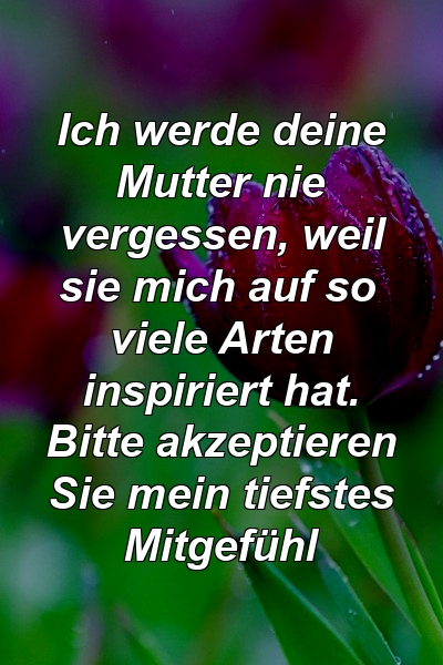 Ich werde deine Mutter nie vergessen, weil sie mich auf so viele Arten inspiriert hat. Bitte akzeptieren Sie mein tiefstes Mitgefühl