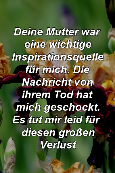 Deine Mutter war eine wichtige Inspirationsquelle für mich. Die Nachricht von ihrem Tod hat mich geschockt. Es tut mir leid für diesen großen Verlust